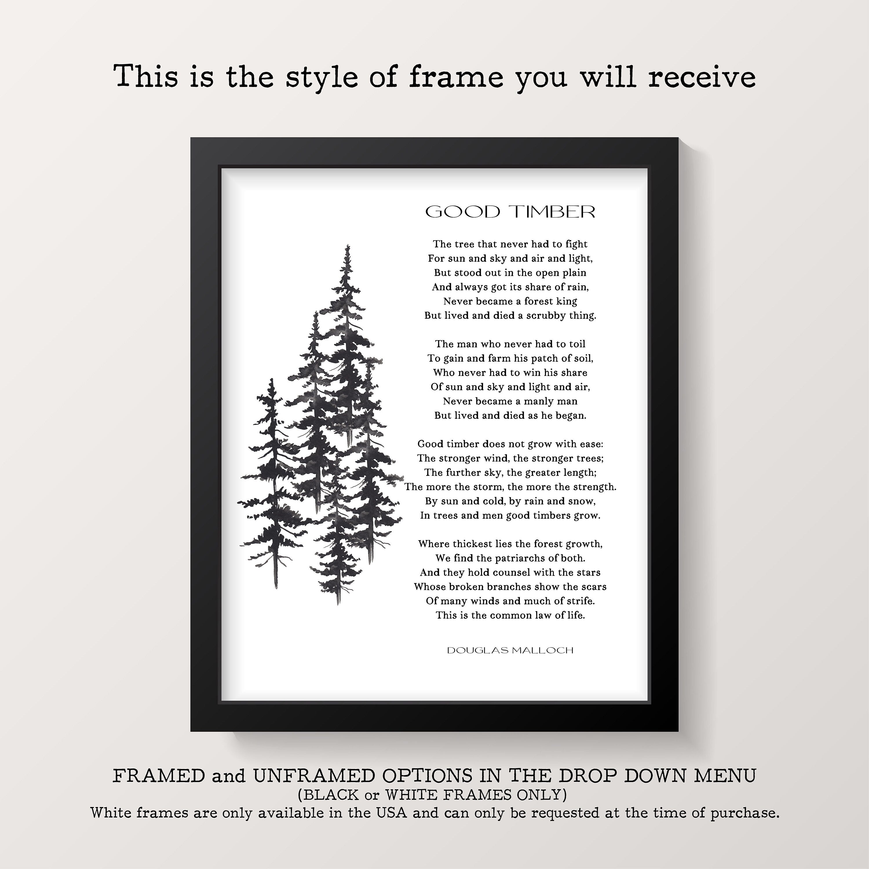 Stopping by the Woods on a Snowy Evening Robert Frost Wall Art Print framed or unframed Living Room Wall Art